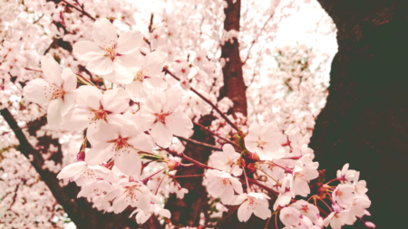 Thumbnail of post image 132